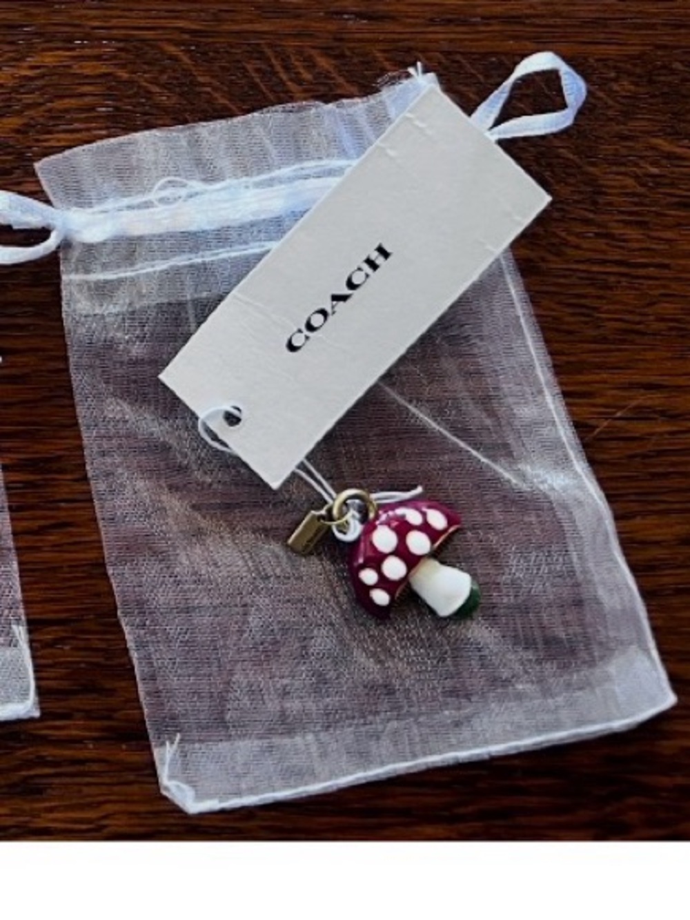 Coach Mushroom Charm Store Exclusive